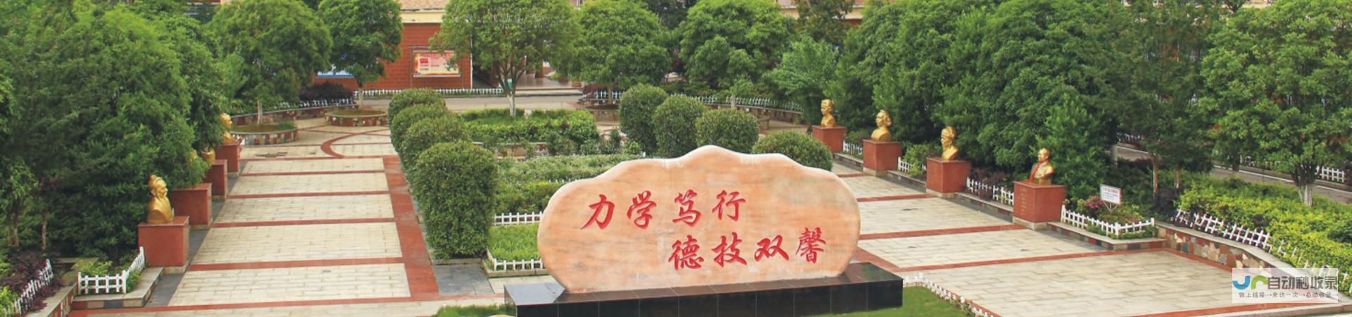 宁乡专业网站建设：从设计到推广，全方位服务，助力企业发展