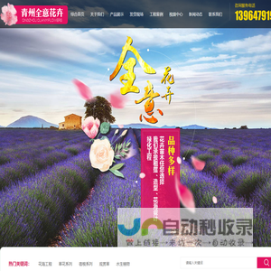 青州市全意花卉苗木种植有限公司-承揽花海设计,花海建造的公司